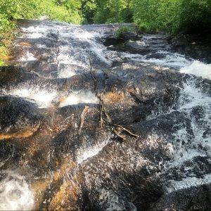 Meet your Posher, Shantrece